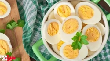 البيض كنز غذائي مذهل.. 6 أسباب تجعله الطعام الصحي الأول عالميا
